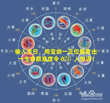输入生日，用宝剑一正位能查出一生命数准度令 🐠 人惊讶！